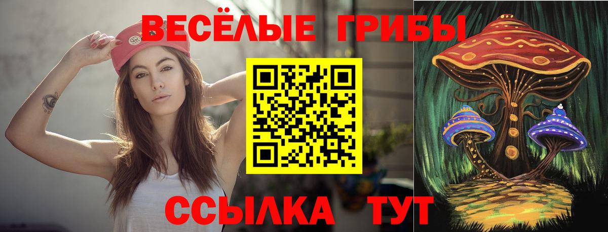 Псилоцибиновые грибы Psilocybine cubensis  Вход с VPN  Псилоцибиновые грибы мицелий  Можга 